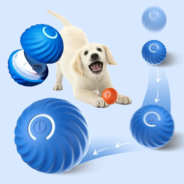 Pet Smart Ball